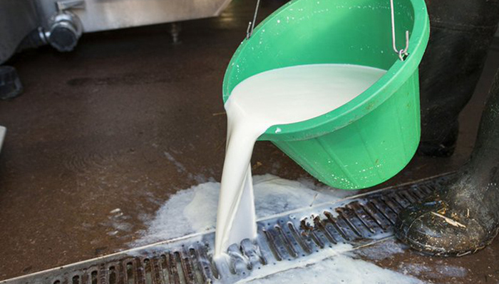 美国,新冠,牛奶