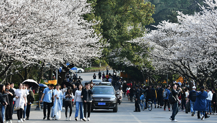 社科院报告：武汉成为疫情后全国游客最想去的城市