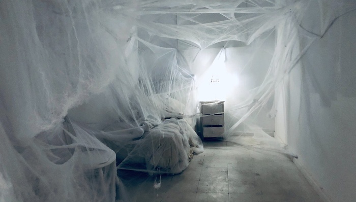 互联网,文化,娱乐