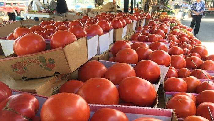 西红柿,墨西哥,腐烂,农民,加工,产业链,食品银行,餐厅