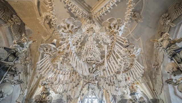 黑死病,意大利帕多瓦大学,投毒,瘟疫,铭心,内奸,丢手绢,roses,克鲁姆洛夫,异端