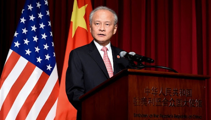 崔天凯,抗疫,留学生,来源,赔偿,经贸