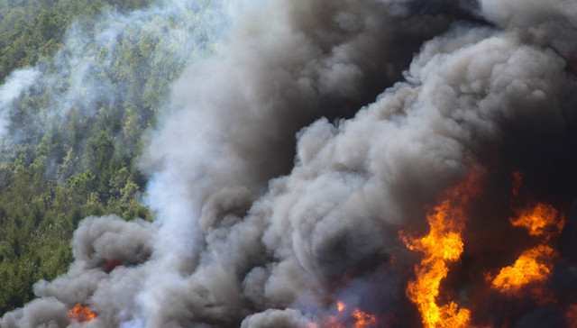 云南安宁森林火灾持续70小时，已投入3000余人参与扑救