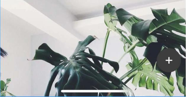 阿里巴巴,家居,躺平