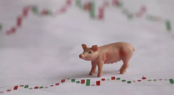 猪周期,宏观经济,物价