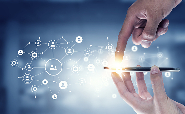 美团,B站,拼多多