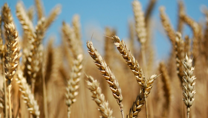 天下故事,国际贸易