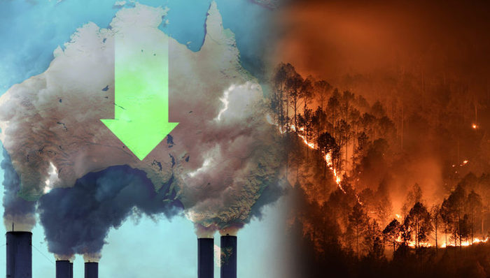 天下故事,新冠肺炎