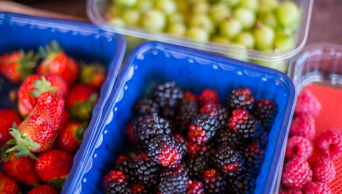 英国,劳动力,欧洲社会