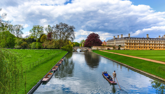 在线教育,大学,高等教育