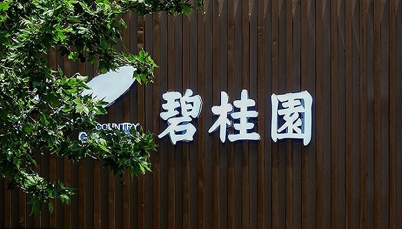 碧桂园,投资,家居,地产商,家具,陶瓷