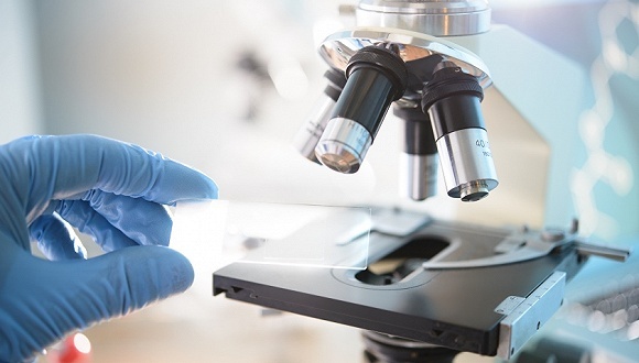 两会，生物安全，疫情，瞒报