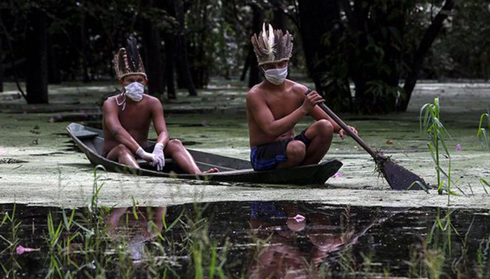 巴西,原住民,新冠