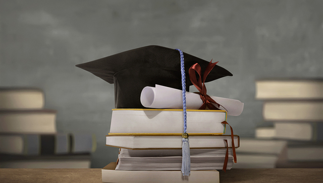 建议归国留学生入学高职高专？委员回应：没有歧视的意思