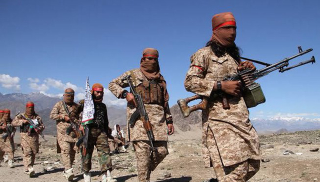 阿富汗,美国,塔利班,新冠