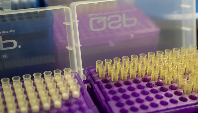 全员检测阳性率不足0.003%，武汉市民可以放心了吗？