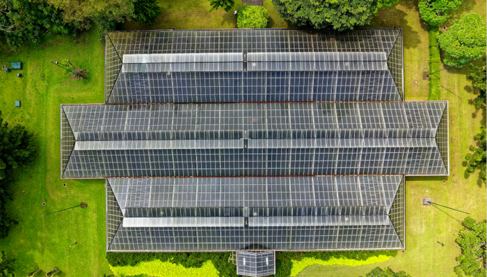 新能源,光伏,国资