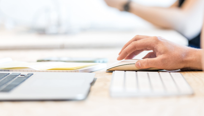 临港新片区，事业单位，行政执法机构改革