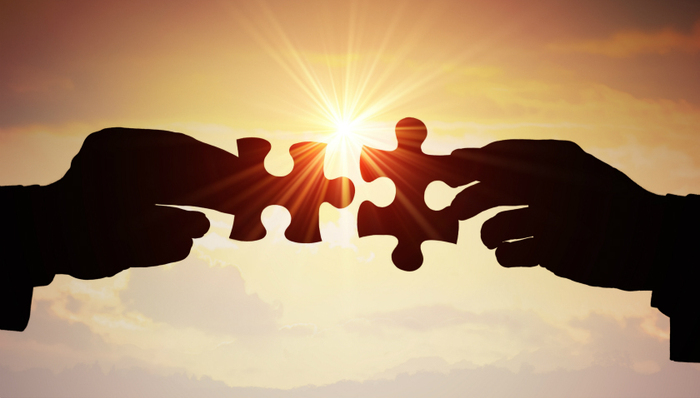 营商环境，上海市税务局