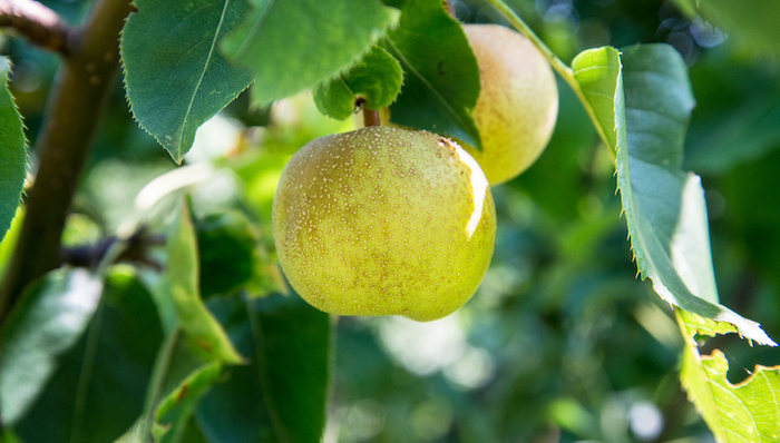 品质生活直播周,上海,盒马村