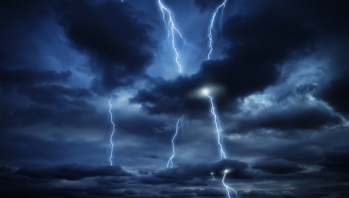 上市公司,金花股份,中珠医疗