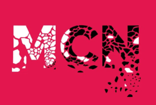 MCN，直播电商，直播带货，抖音