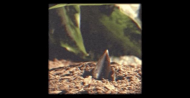 建筑档案对话温子先丨建筑的“灵感”与“物”的根源性