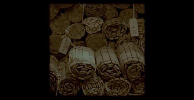 建筑档案对话温子先丨建筑的“灵感”与“物”的根源性