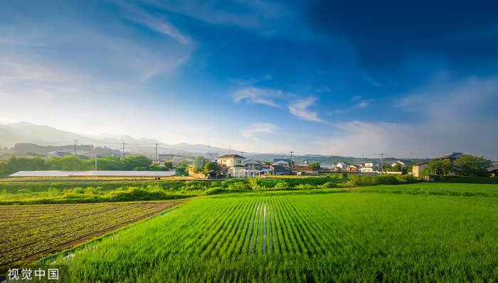 “帮助农民过上更好的生活”	
——农村金融服务创新的宜信之路