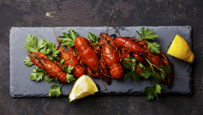 餐厨垃圾，可再生循环，甲壳素
