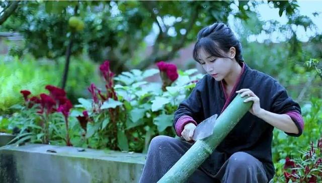 创业,网红,品牌