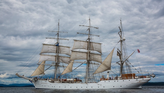 字节跳动,TikTok,海外