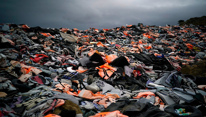 移民,新书,书评,科学新知