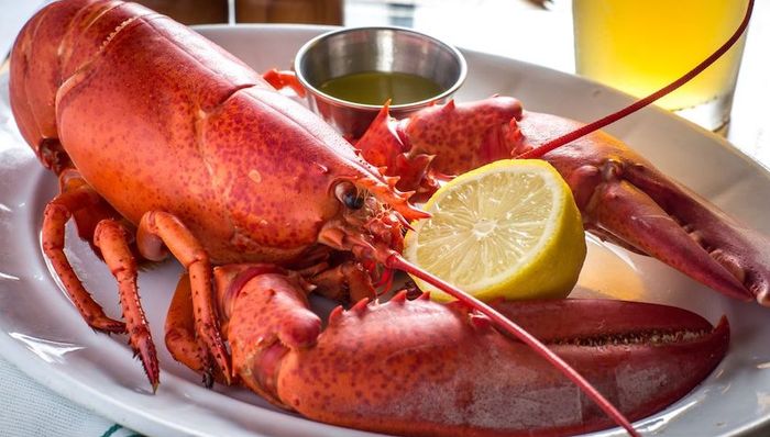 龙虾,关税,欧盟,加拿大,出口,产量.捕捞