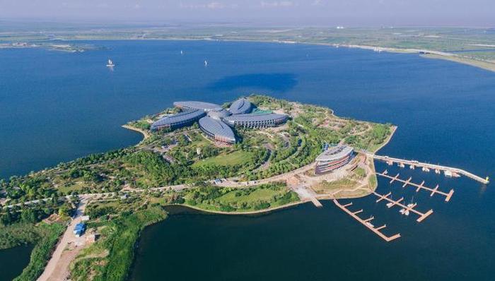 临港新片区，重燃