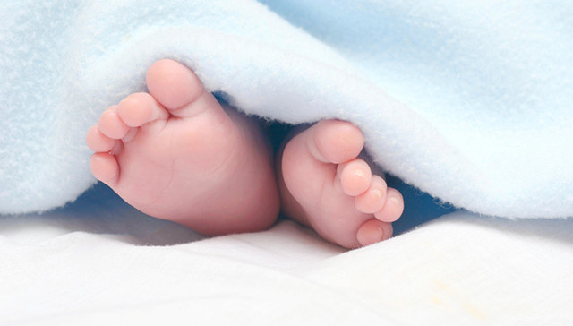 社会抚养费，强制征收，计划生育