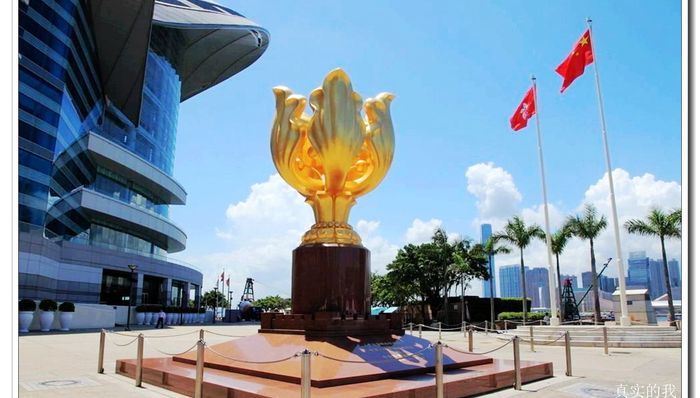 救救孩子,教育专业,教育体系,革除,一国两制,新华时评,香港理工大学,香港中文大学,杀人,改进