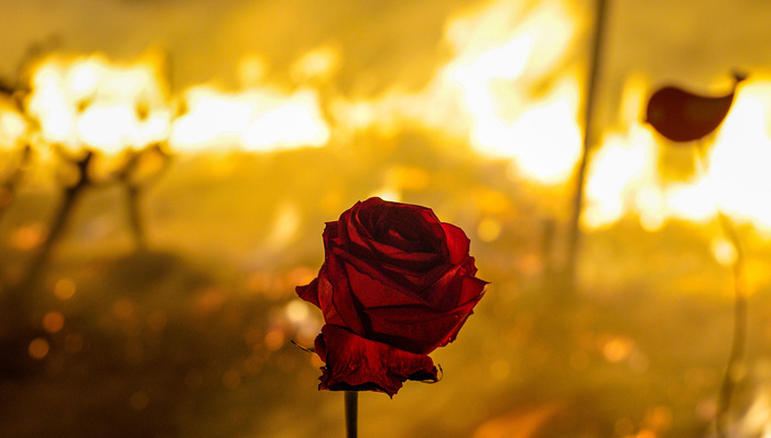 种族歧视,历史,思想武器,亚裔