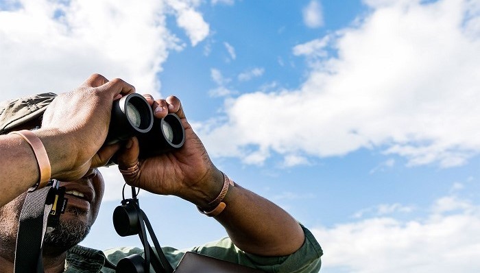 访谈,种族主义,观鸟