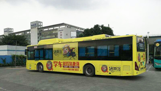 消费者报告 | 广东猪兼强驾校被申请破产，至少3万学员无地学车、无处退款