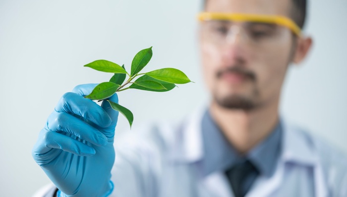 科创板,IPO,招股书