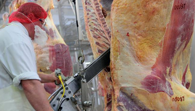 德国,肉类,新冠