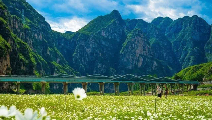 景区门票,河北野三坡,鱼谷洞,野三坡风景名胜区,清偿能力,破产清算,重组,涞水县,债务人,欠款