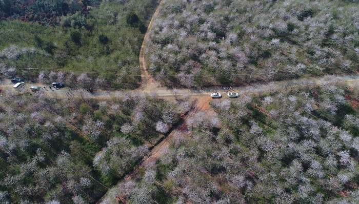 端午节北京市民出游热度大减，但这几个城市周边游活跃