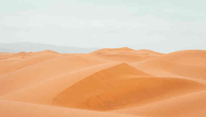 中卫 48 小时｜2 小时 40 分直达，深度探访边塞红城