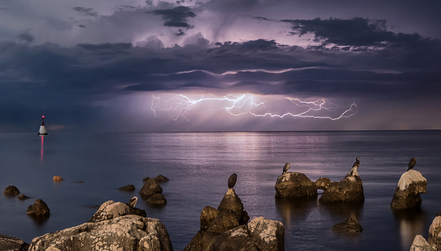 【独家】武汉金凰债务违约拉锯：被保人尚未向人保财险索赔，涉事信托索赔难