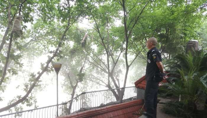 洪灾，洪峰，水位监测，重庆