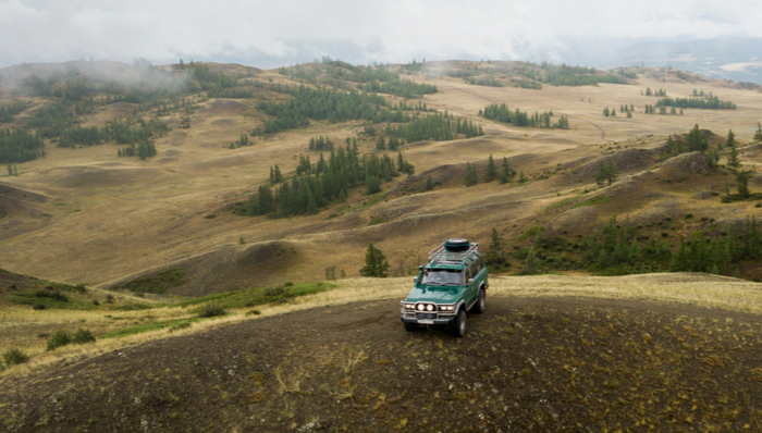 网络营销,汽车市场,广告主