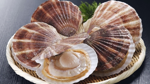 獐子岛闹剧划下句点，公司遭证监会警告并处60万罚款