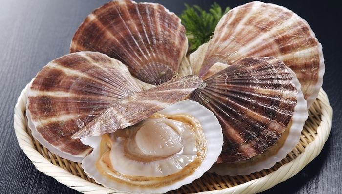 獐子岛闹剧划下句点，公司遭证监会警告并处60万罚款